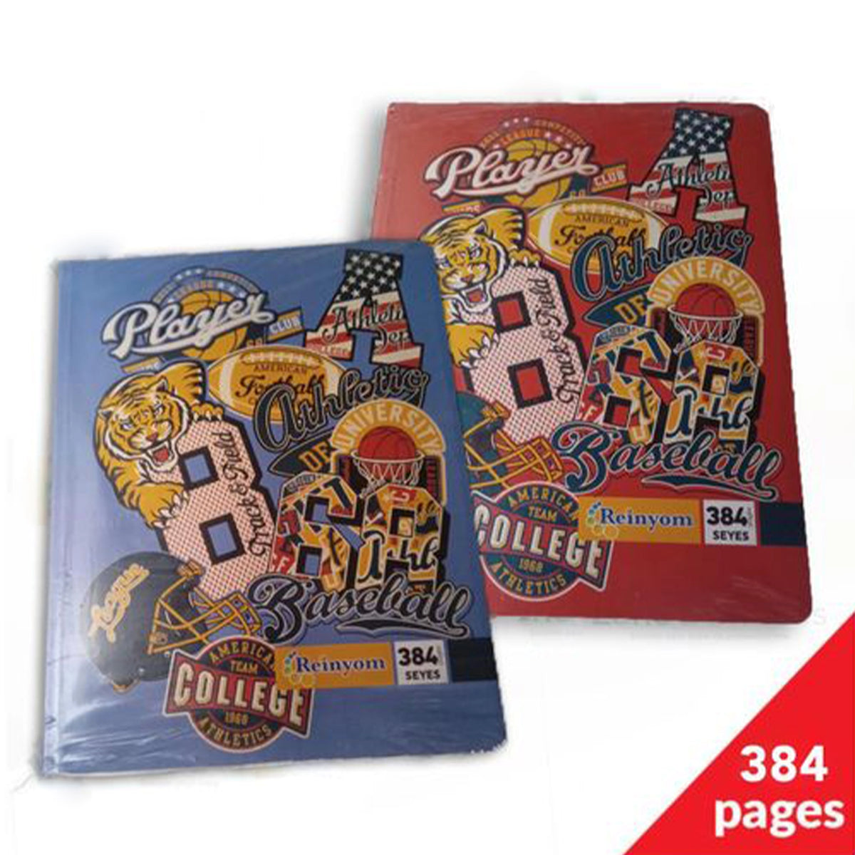 Lot 10 Cahiers 384 Pages Grands Carreaux 60g