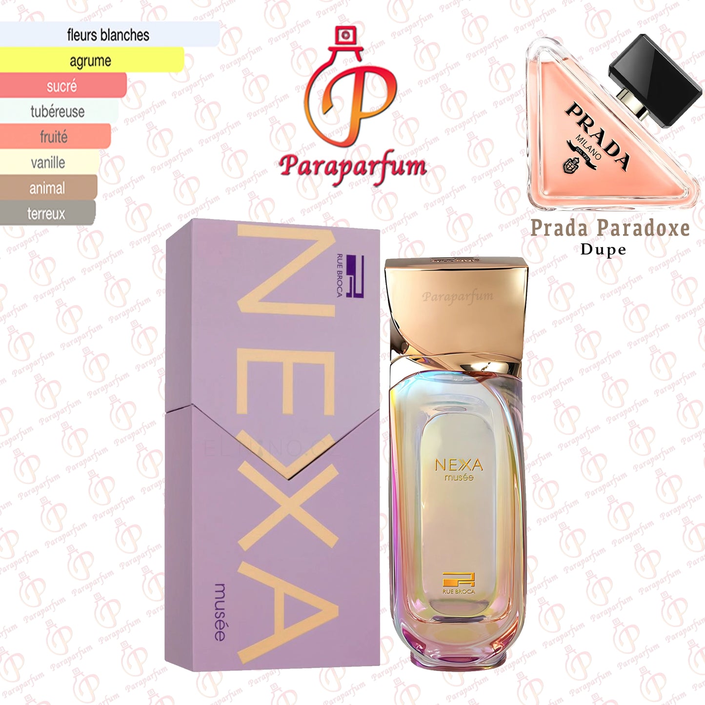 Nexa Musée Rue Broca 100ml